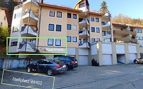 Modern - ruhige Lage - zentrumsnah - 2-Zimmer Apartment